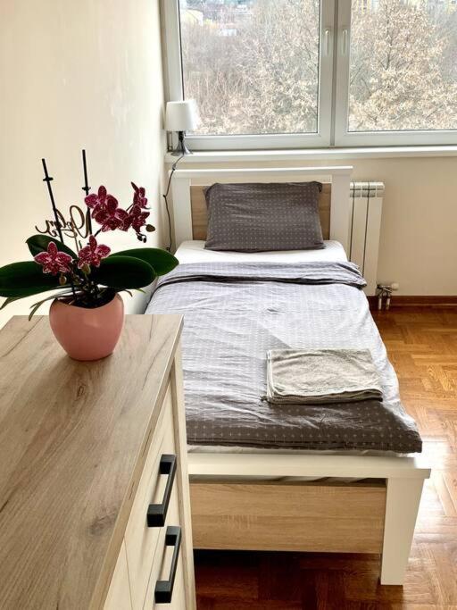 Sunkissed Apartman